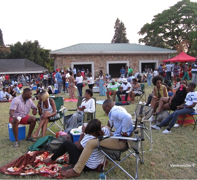 VimfromZim - UnPlugged Zimbabwe 3