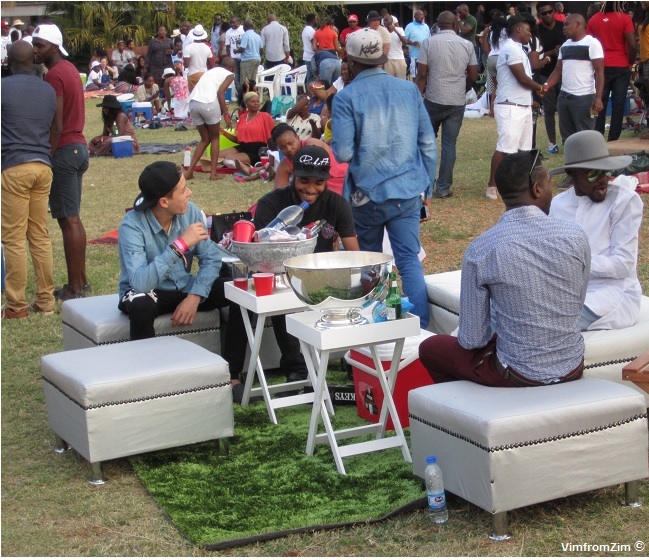 VimfromZim - UnPlugged Zimbabwe 5