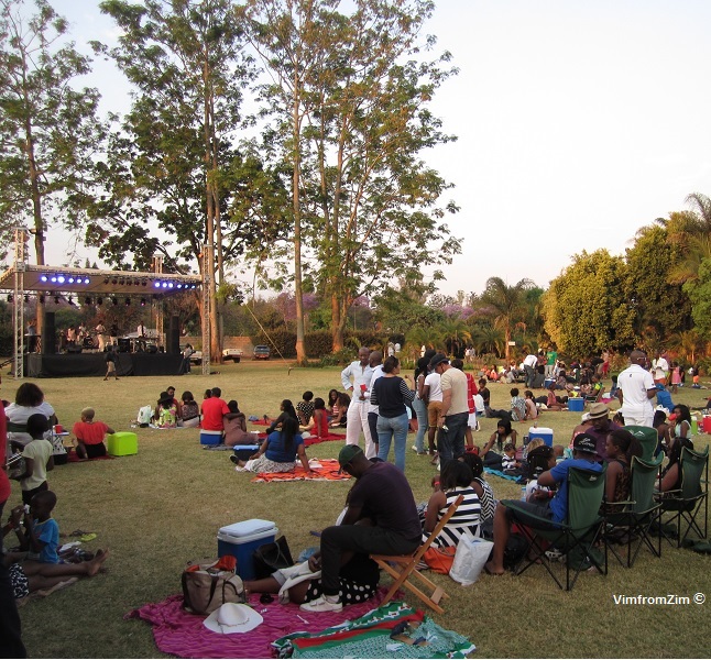 VimfromZim - UnPlugged Zimbabwe 6