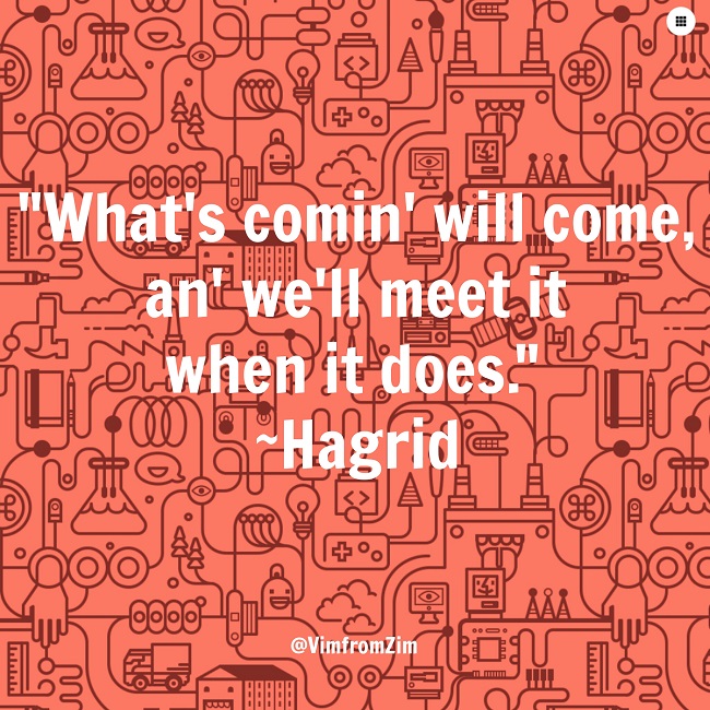 What's Coming - VimfromZim