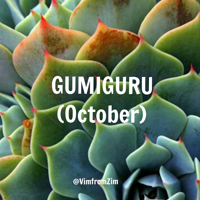 Gumiguru - VimfromZim