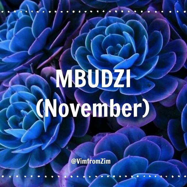 Mbudzi - November