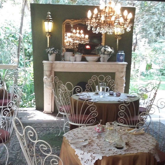 antique-rose-ambiance-vimfromzim