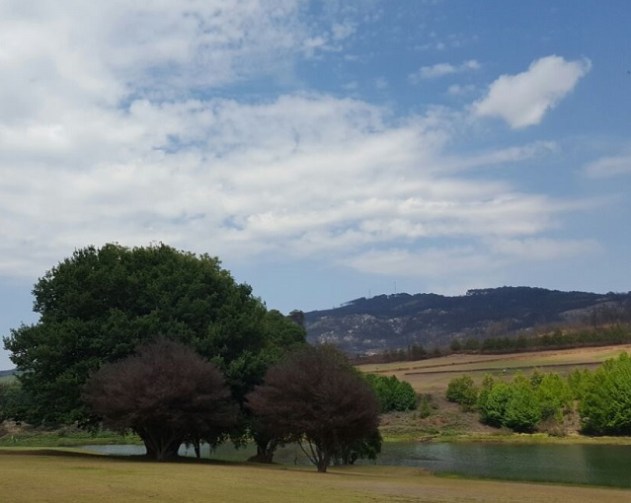 nyanga-zimbabwe-6-vimfromzim