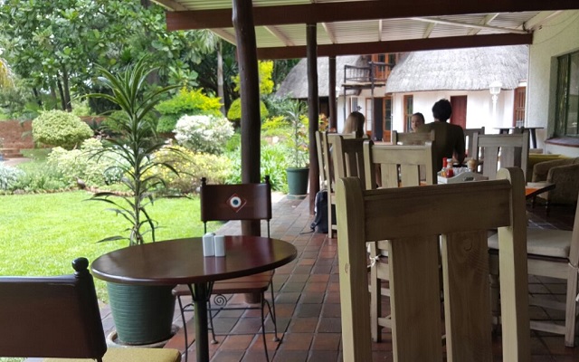 vimfromzim-the-mustard-seed-4